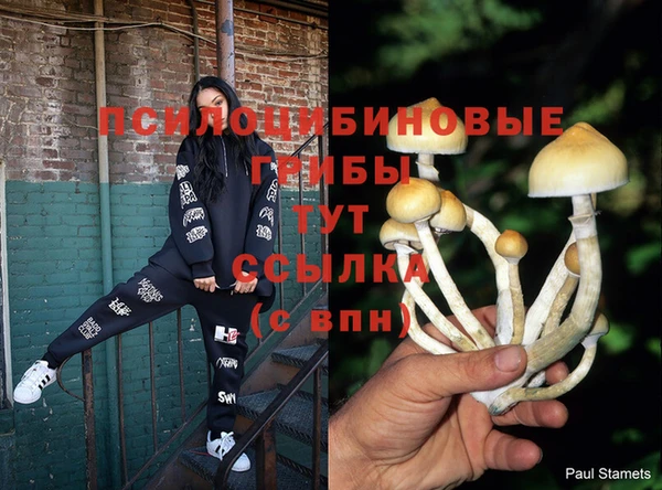 круглые Бронницы