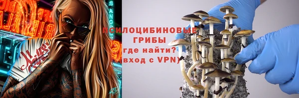 а пвп мука Бородино