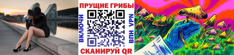 Псилоцибиновые грибы Psilocybe  Купить где  Магас 